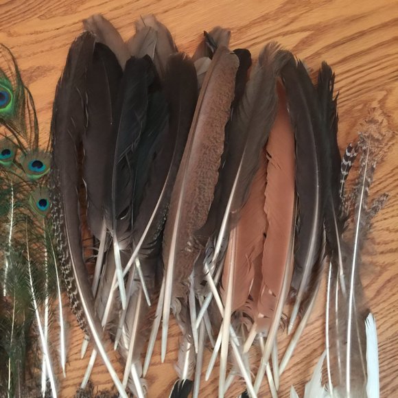 LOT 140 NATURAL PEACOCK BIRD FEATHER BOHO FESTIVAL CRAFT ART HOBBY COSTUME DECOR - Picture 9 of 16